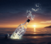 A Message Bottle, Official Home for Gift Ideas & Invitations